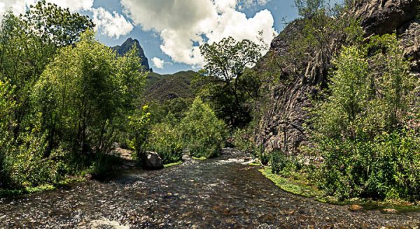 Cañon rio vegetacion arboles nubes cielo azul. Dentro del Cañon