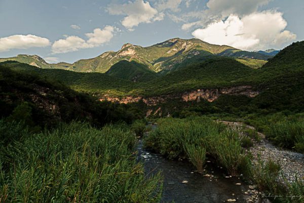 Arroyo de agua vegetacion montaña cuelo azul nubes blancas. Agua en montaña.