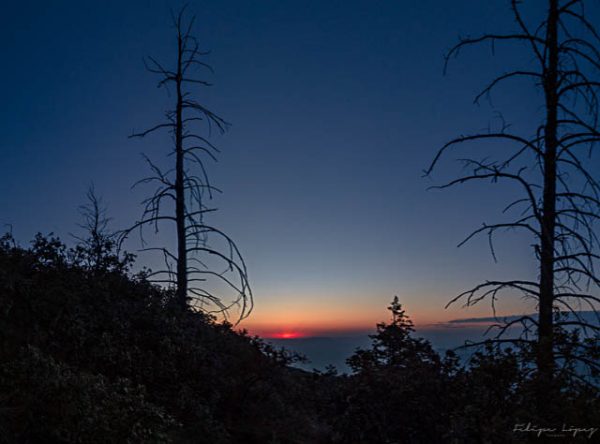 Montaña sol arbol atardecer. Cae la tarde en la sierra.