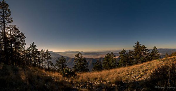 Horizonte montañas arboles amanecer. El horizonte al amanecer.