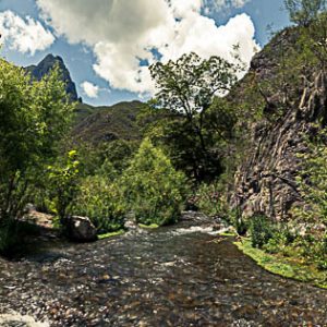 Arboles rio nubes blancas cielo azul cañon. Cruzando el rio.