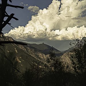 Nubes blancas cielo azul montaña tronco arbol. La nube blanca.