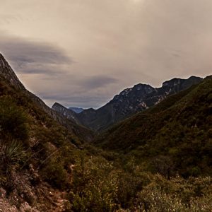 Cañon arboles vegetacion cielo nubes. Rumbo a la ventana.