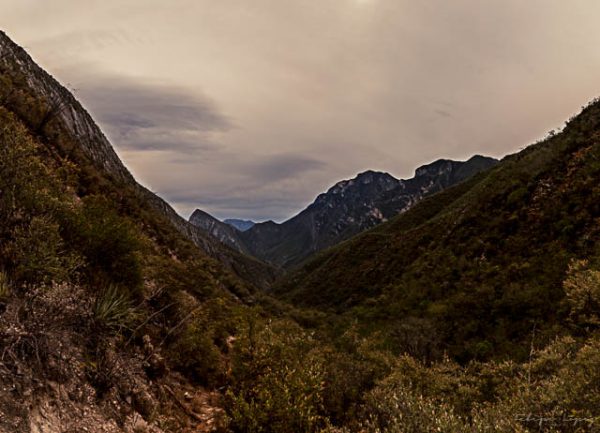 Cañon arboles vegetacion cielo nubes. Rumbo a la ventana.