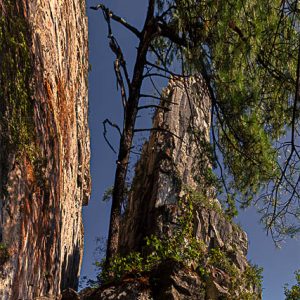 Arboles rocas cielo. Camino a La M