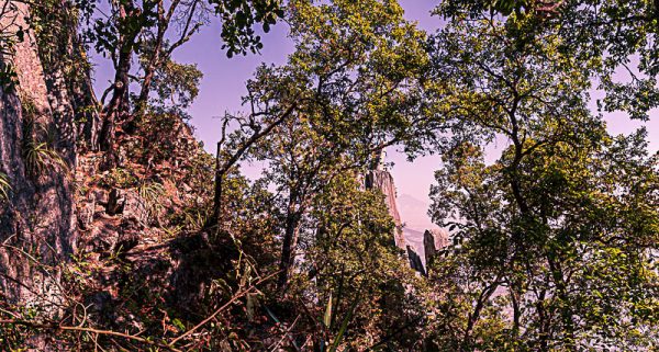 Arboles montañas cielo. Viendo al Fraile.