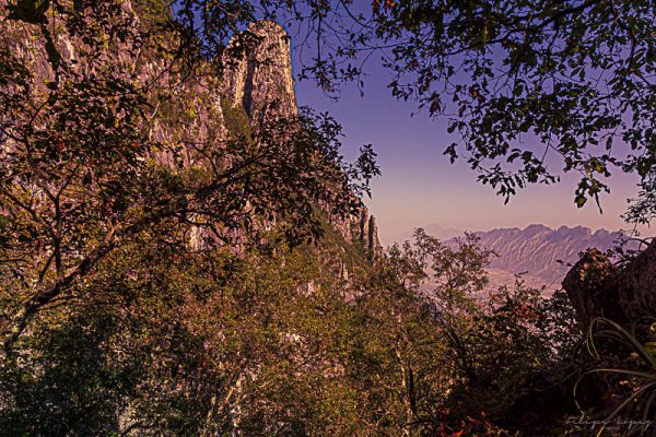 Vegetacion arboles cerros cielo montaña. Vista hacia el Frayle.