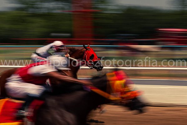 Jinete sobre caballo carrera cuarto de milla. Venta fotografia caballos.