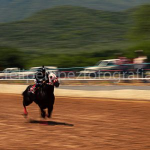Jinete monta caballo en carrera cuarto de milla. Venta fotografia caballos.
