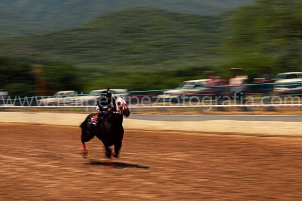 Jinete monta caballo en carrera cuarto de milla. Venta fotografia caballos.