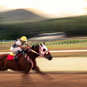 Jinete montando un caballo en carrera de cuarto de milla. Venta fotografia caballos.
