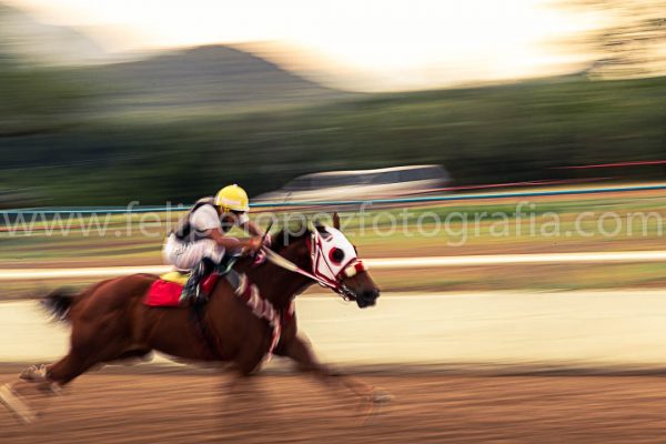 Jinete montando un caballo en carrera de cuarto de milla. Venta fotografia caballos.