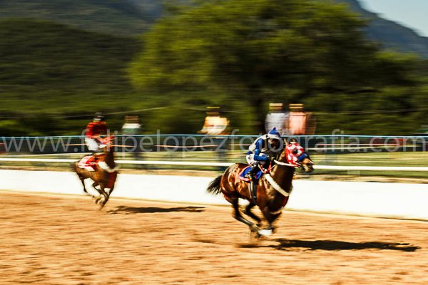 Jinete montando caballo de cuarto de milla. Venta fotografia caballos.