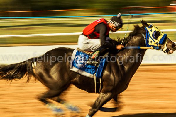 Jinete montando un caballo en carrera cuarto de milla. El esfuerzo.