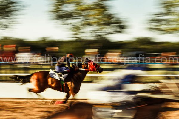 Jinete montando caballo. Alcanza y gana.