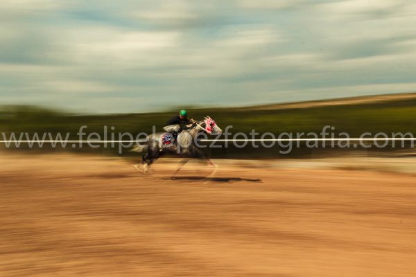 Carrera de caballos cuarto de milla. Carrera de caballos