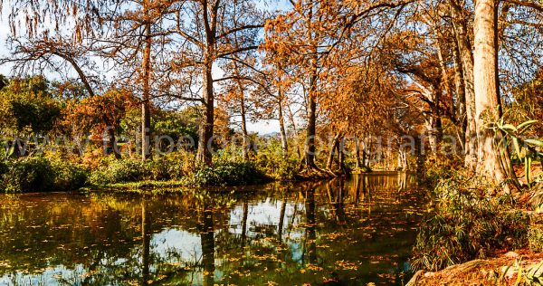 Arboles espejo de agua rio. Espejo agua Rio