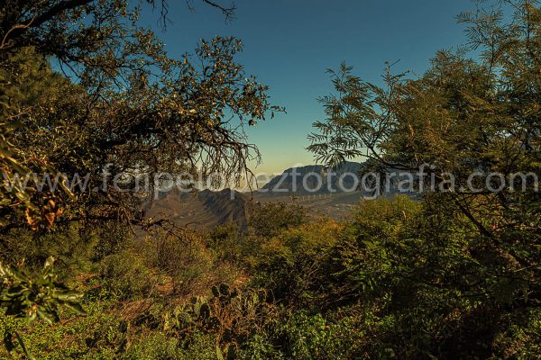 Arbustos montañas cielo. La SIlla La Mota