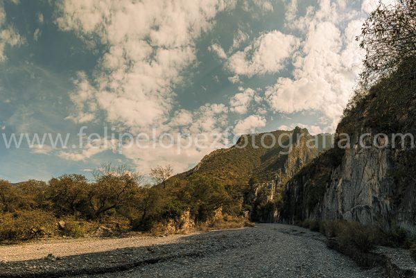 Vegetacion montaña cielo nubes. Cañon Guitarritas