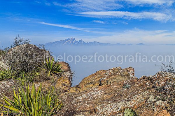 Montaña vegetacion cielo azul nubes. El manto del Sr Sapo.