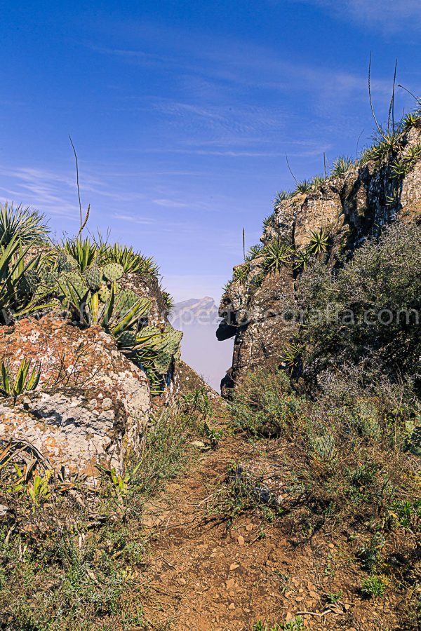 Vegetacion Montaña cielo azul. Mirando al Sr Sapo.