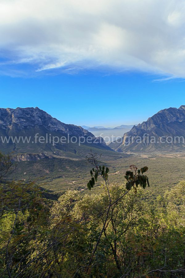 Arboles arbustos montaña cielo azul nubes. Valle de Mesa de Pinos.