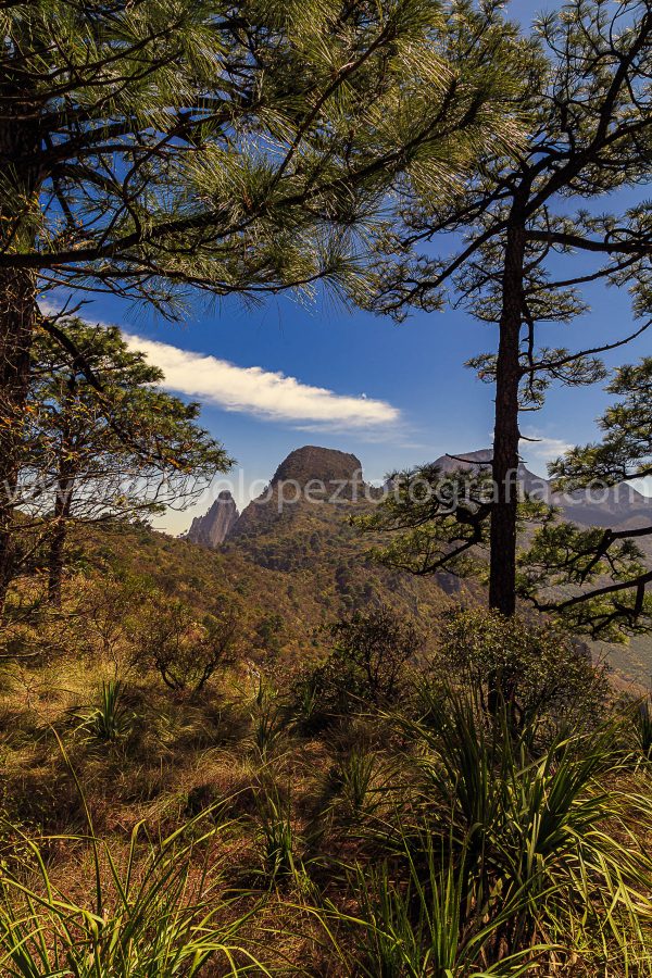 Arboles montaña cielo azul nubes. Encuadrar El Cuadrado.