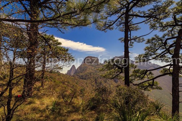 Arboles montaña cielo azul nubes. Enmarcando El Cuadrado.