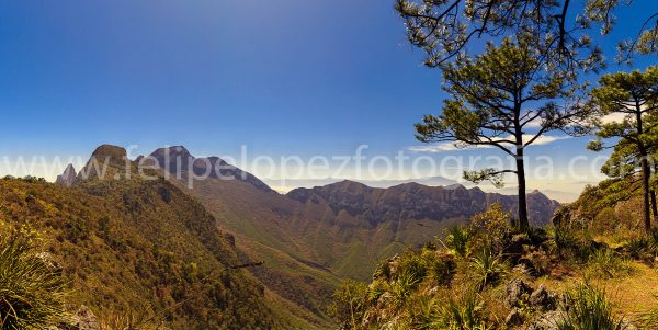 Montaña arboles matorrales cielo azul. En la sierra El Cuadrado.