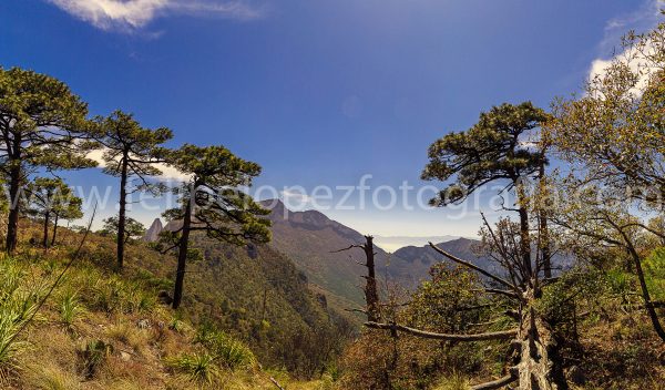 Arboles montaña pradera cielo azul sol. El mirador.