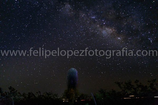 Yuca estrellas via lactea cielo de noche. Inmensidad estelar.