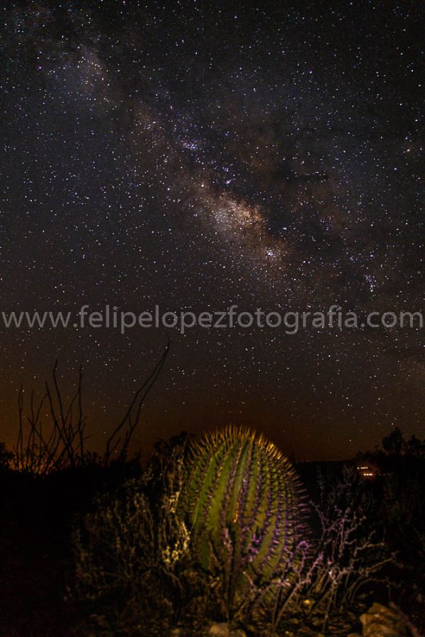 Biznaga estrellas cielo nocturno via lactea. Biznaga y Via Lactea.