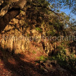 Rayos de sol pared de roca montaña arboles cielo azul. La pared de roca.