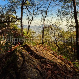 Piedra arboles montaña cielo azul. La piedra hacia la cumbre.