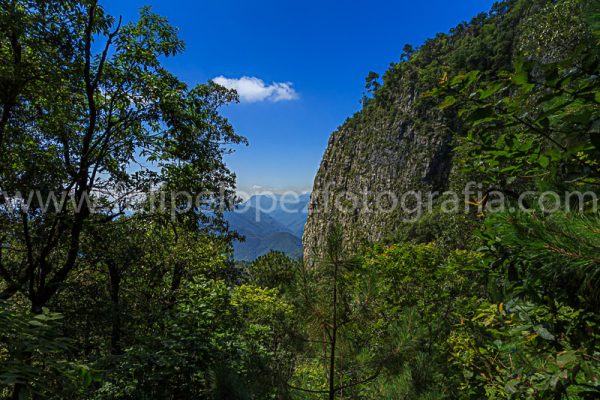 Arboles montaña cielo azul nubes blancas. Hacia la Sierra.