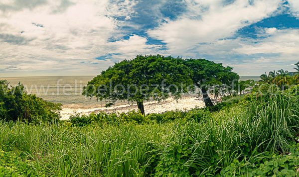 Mar vegetacion arboles cielo azul nubes. Pano Viendo el Mar.