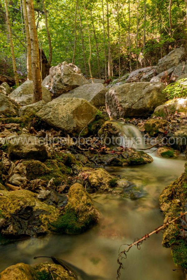 Agua rocas vegetacion arboles. Corre el agua.