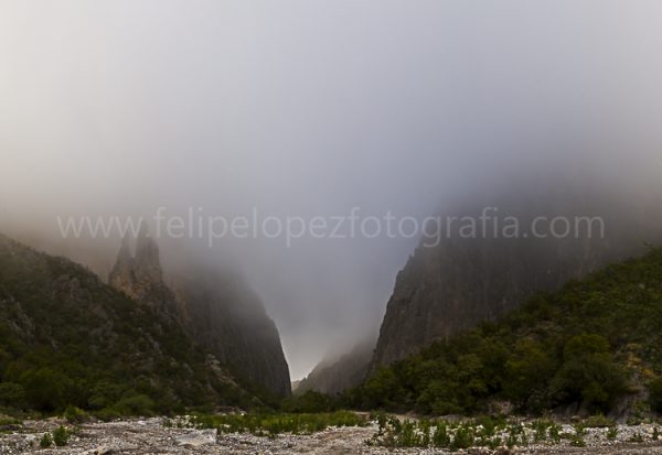 neblina nubes montaña vegetacion. Entre nubes Potrero.