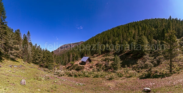 cielo azul, pinos, cabaña. La cabaña.