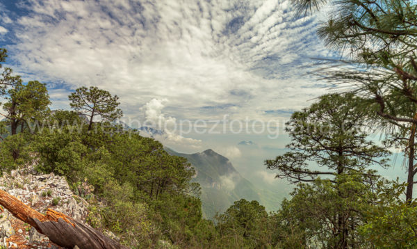 nubes cielo azul pinos montaña. Nubosidad.