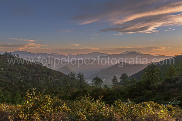 nubes, rayos de sol, montaña, amanecer, vegetacion. Recibiendo el dia.