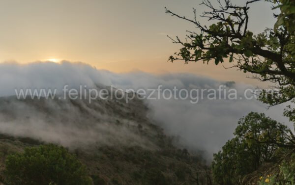 niebla, nubes, montaña, sol, amanecer. Sol al alba.