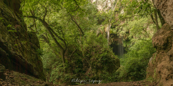 vegetacion, cascada de agua, sierra, montaña. La Cascada.