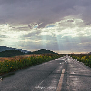 nubes, sol, camino, vegetacion, rayos de sol. Un Atardecer.