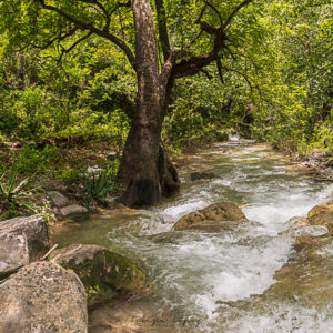 Agua, arboles, rocas, cascada. LLeva agua.