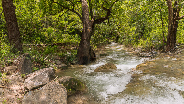 Agua, arboles, rocas, cascada. LLeva agua.