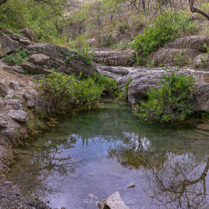 Agua, espejo, vegetacion, rocas, mezquite.