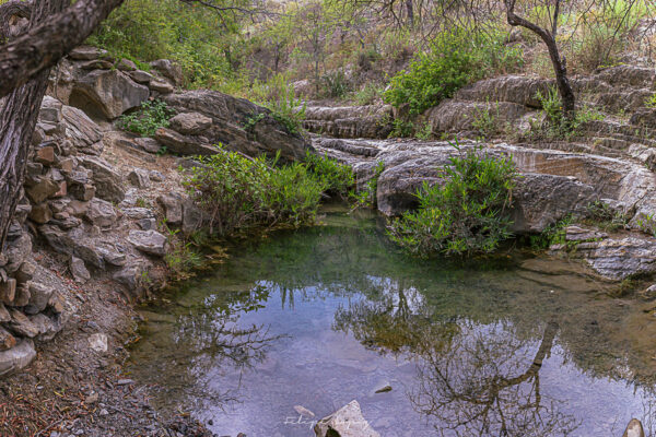 Agua, espejo, vegetacion, rocas, mezquite.