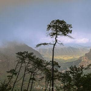 vegetacion, niebla, cielo azul, montañas. Hacie el Valle.