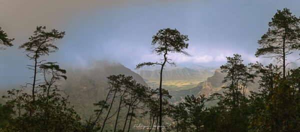 vegetacion, niebla, cielo azul, montañas. Hacie el Valle.